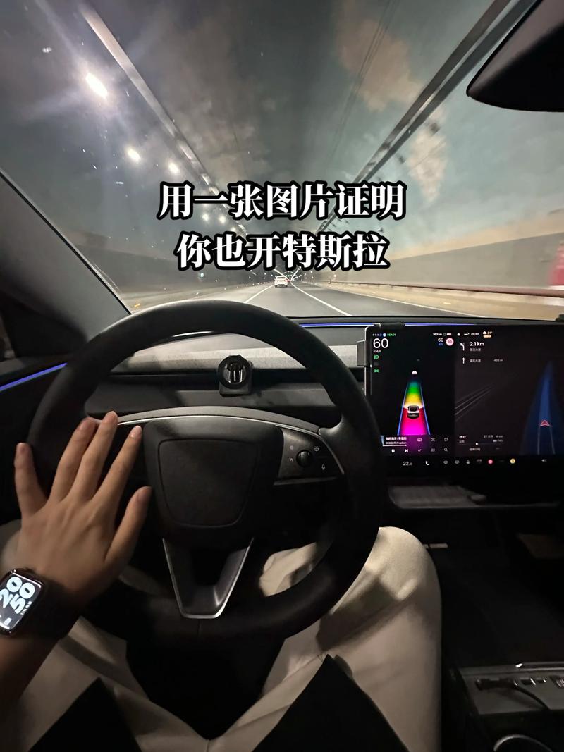 开特斯拉的都是什么人(开特斯拉什么体验)