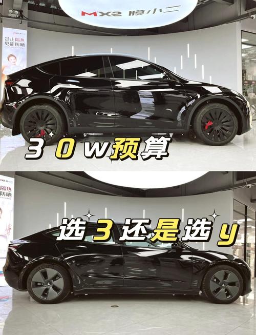 特斯拉3和y哪个值得买(特斯拉y和3哪个好)