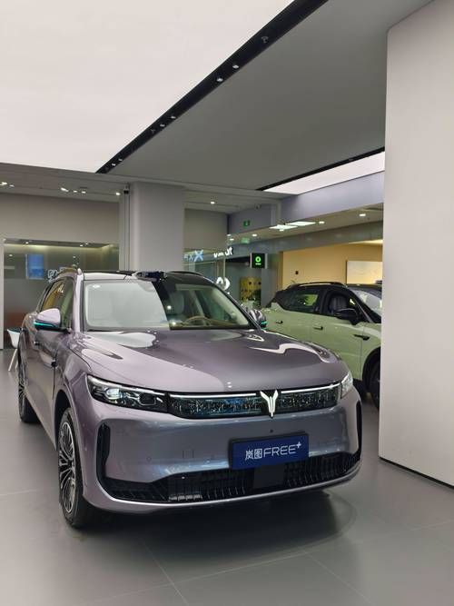 岚图free值不值得买(岚图free能买吗)