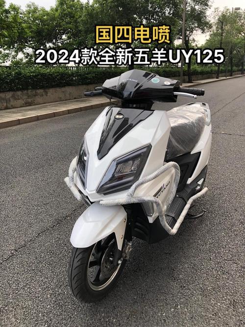 摩托车官网旗舰店,五羊摩托车官网旗舰店