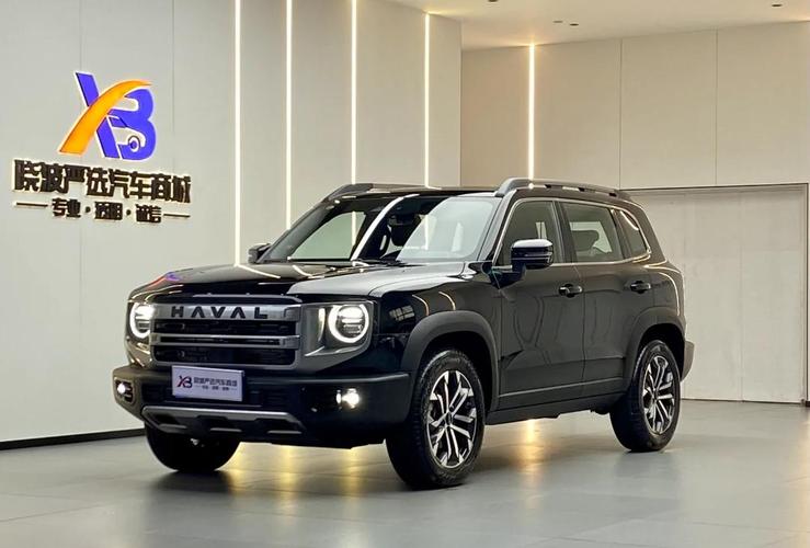 哈弗大狗边牧版价格 哈弗大狗边牧版价格多少