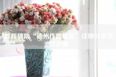 教程辅助“德州作弊设备”详细分享装挂步骤