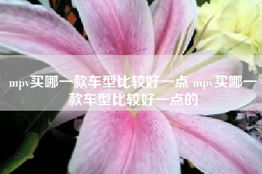 mpv买哪一款车型比较好一点 mpv买哪一款车型比较好一点的 mpv买哪一款车型比较好一点 mpv买哪一款车型比较好一点的