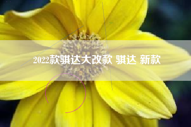 2022款骐达大改款 骐达 新款
