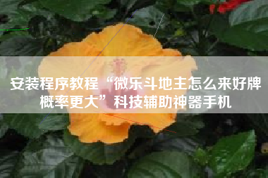 安装程序教程“微乐斗地主怎么来好牌概率更大”科技辅助神器手机