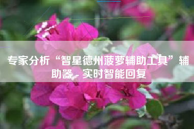 专家分析“智星德州菠萝辅助工具”辅助器 - 实时智能回复