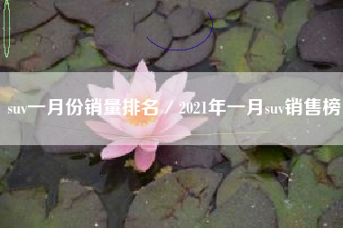 suv一月份销量排名／2021年一月suv销售榜