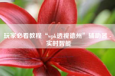 玩家必看教程“wpk透视德州”辅助器 - 实时智能