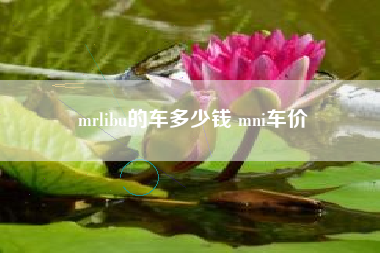 mrlibu的车多少钱 mni车价