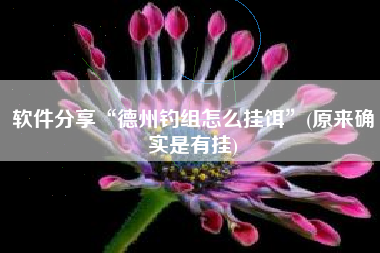 软件分享“德州钓组怎么挂饵	”(原来确实是有挂)