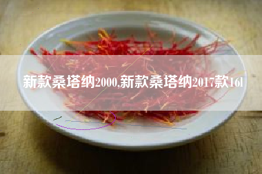 新款桑塔纳2000,新款桑塔纳2017款16l 新款桑塔纳2000,新款桑塔纳2017款16l