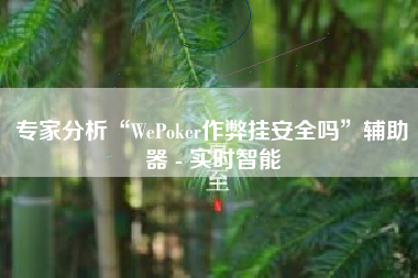 专家分析“WePoker作弊挂安全吗”辅助器 - 实时智能