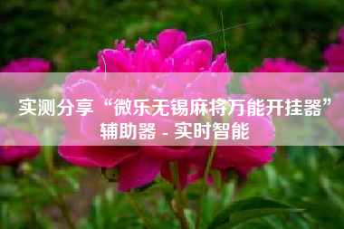 实测分享“微乐无锡麻将万能开挂器”辅助器 - 实时智能