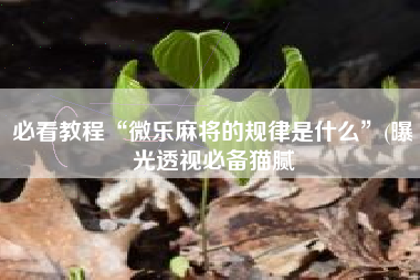 必看教程“微乐麻将的规律是什么”(曝光透视必备猫腻