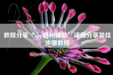 教程分享“app德州辅助”详细分享装挂步骤教程