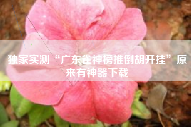 独家实测“广东雀神榜推倒胡开挂	”原来有神器下载