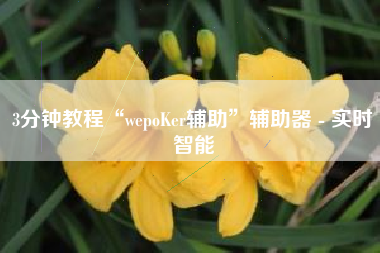 3分钟教程“wepoKer辅助	”辅助器 - 实时智能
