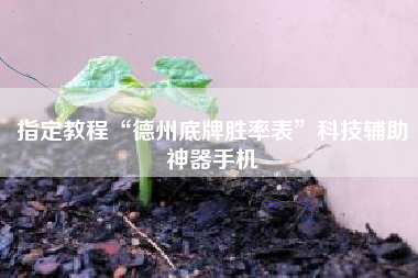 指定教程“德州底牌胜率表”科技辅助神器手机