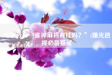 专家分析“雀神麻将有挂吗？”(曝光透视必备猫腻
