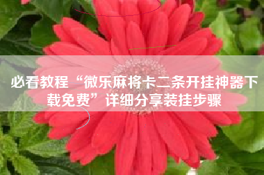 必看教程“微乐麻将卡二条开挂神器下载免费”详细分享装挂步骤