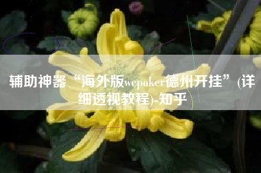 辅助神器“海外版wepoker德州开挂”(详细透视教程)-知乎