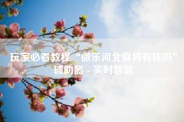 玩家必看教程“微乐河北麻将有挂吗	”辅助器 - 实时智能