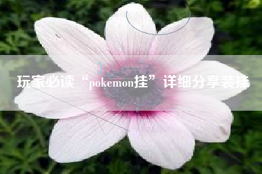 玩家必读“pokemon挂”详细分享装挂