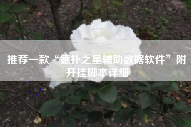 推荐一款“德扑之星辅助数据软件”附开挂脚本详细