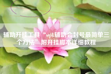 辅助开挂工具“wpk辅助会封号最简单三个方法”附开挂脚本详细教程
