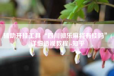 辅助开挂工具“四川微乐麻将有挂吗	”(详细透视教程)-知乎