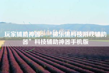 玩家辅助神器：“微乐黑科技游戏辅助器”科技辅助神器手机版
