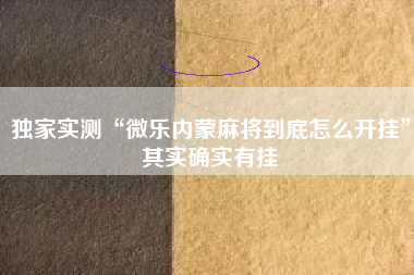 独家实测“微乐内蒙麻将到底怎么开挂”其实确实有挂
