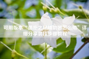 可用版本“德扑之星辅助器怎么用	”详细分享装挂步骤教程