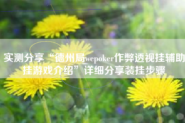 实测分享“德州局wepoker作弊透视挂辅助挂游戏介绍”详细分享装挂步骤