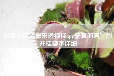 玩家必读“微乐透视挂app是真的吗”附开挂脚本详细